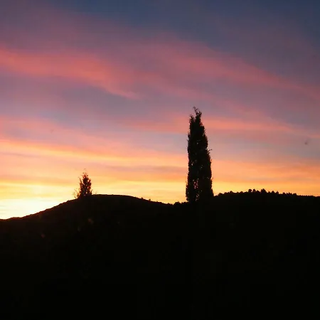 Domaine De Las Planes Frühstückspension Montauriol (Pyrenees-Orientales)