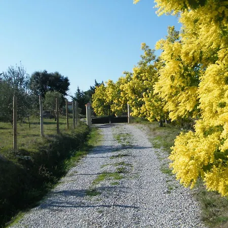 Domaine De Las Planes Montauriol (Pyrenees-Orientales)