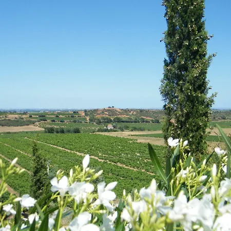 Frühstückspension Domaine De Las Planes Montauriol (Pyrenees-Orientales)